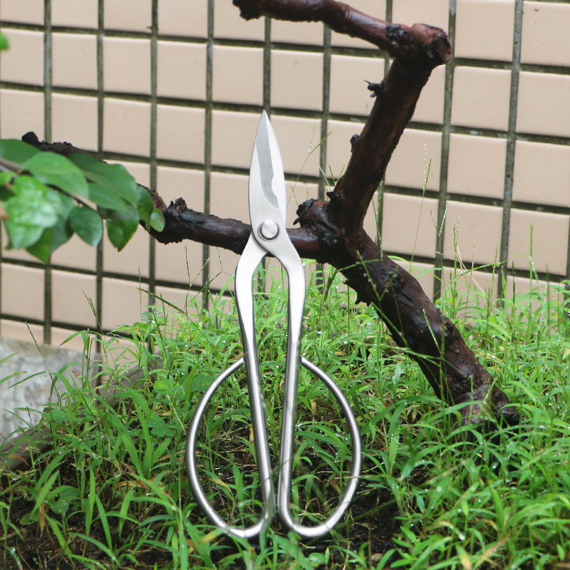 Bonsai Tool Set - All-steel garden shears, foliage, sprouts, flower