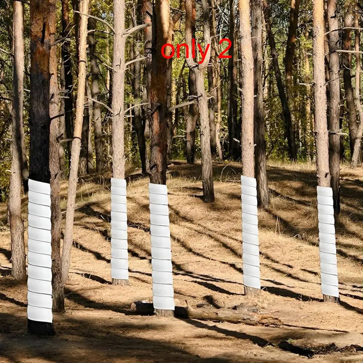 A75K Plant Tree Trunk Protecto - огляд і ціна Gardening Tools B&Q