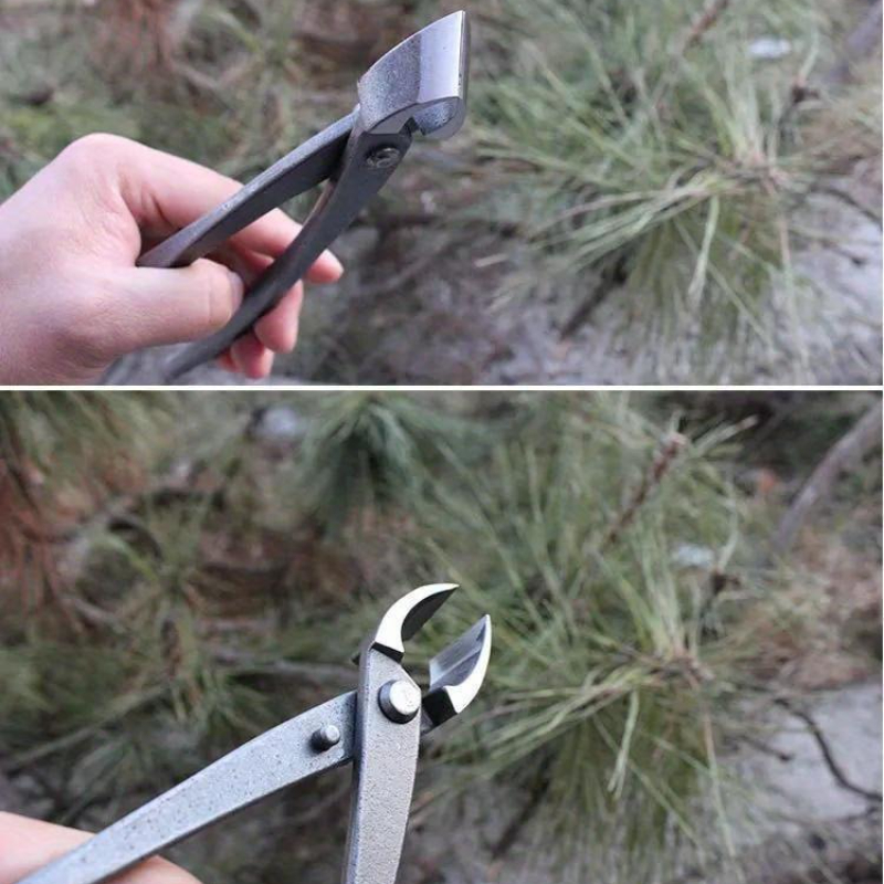Bonsai Knob Cutter Concave Edg - огляд і ціна Bonsai Tool Set
