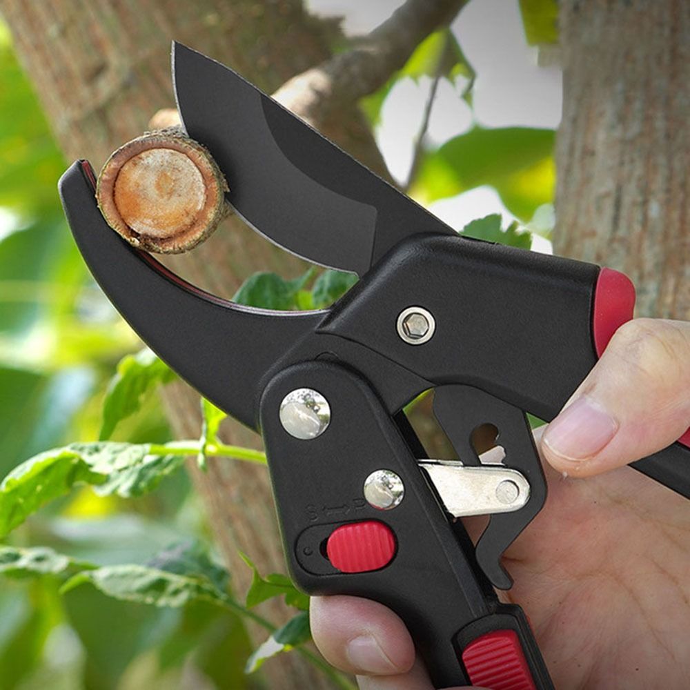 Adjustable Ratchet Gardening P - огляд і ціна Gardening Tools Sharp