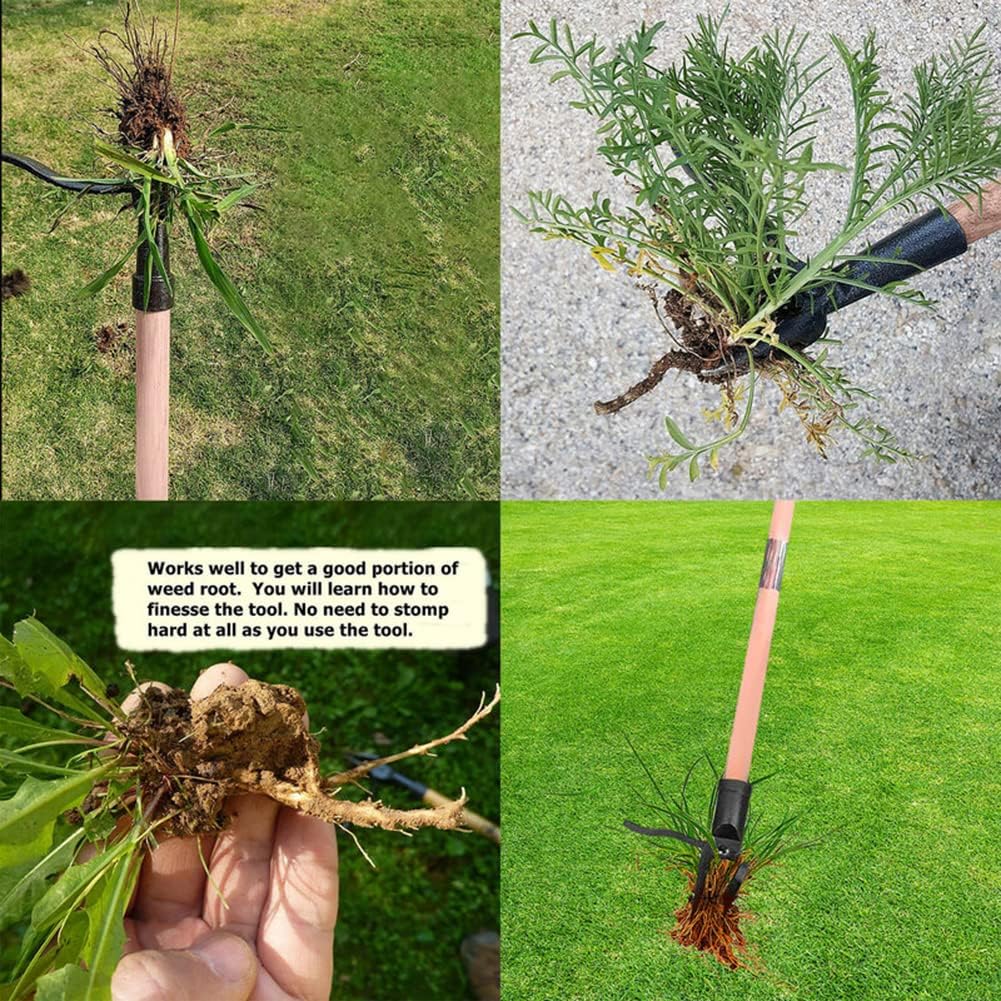 Stand Up Weed Puller Tool Deta - огляд і ціна Weed Puller