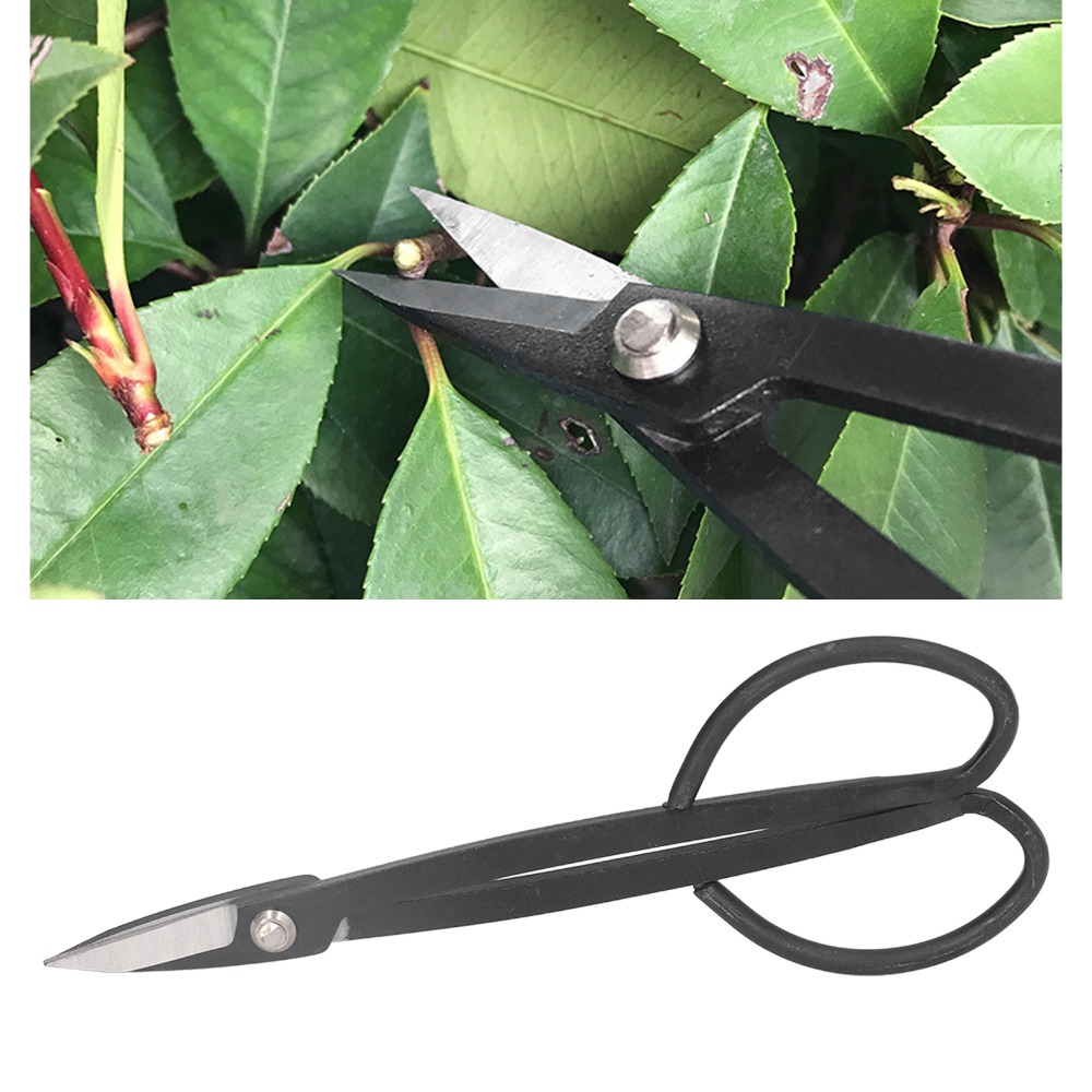 Stainless Steel Bonsai Scissor - огляд і ціна Bonsai Tool Set
