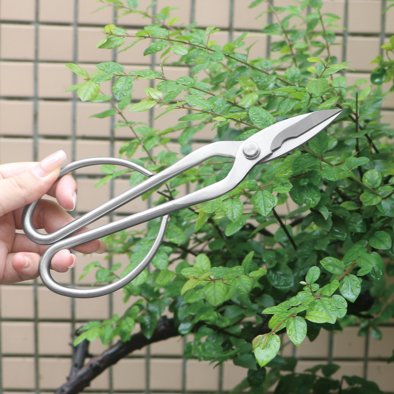 All-steel garden shears, folia - огляд і ціна Bonsai Tool Set