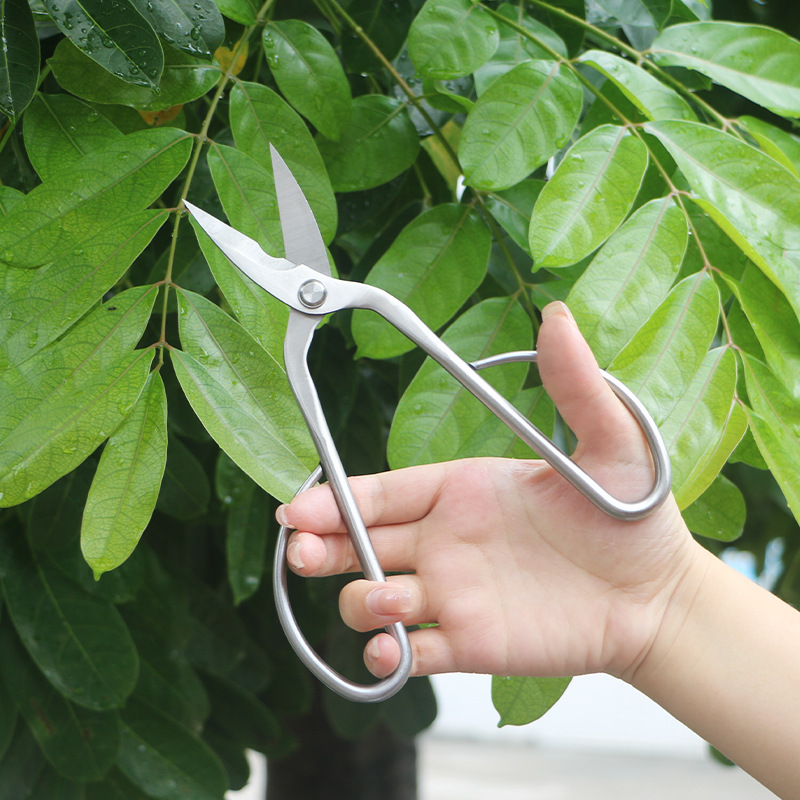 All-steel garden shears, folia - огляд і ціна Bonsai Tool Set