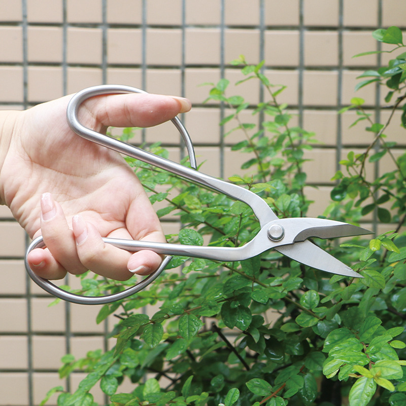 All-steel garden shears, folia - огляд і ціна Bonsai Tool Set