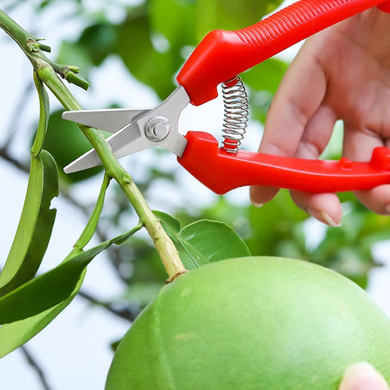 One-handed Scissors Pruning Sh - огляд і ціна Gardening Tools Sharp