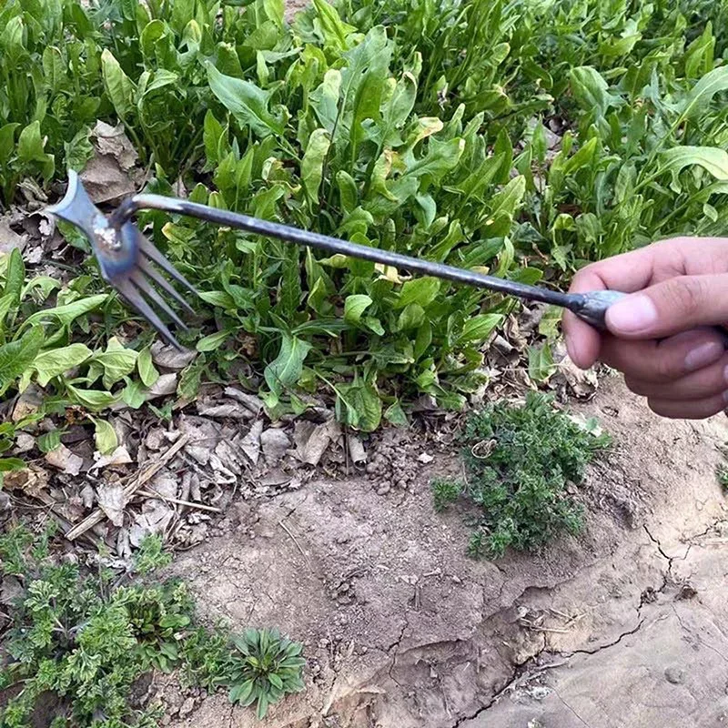 Garden Weeders Grass Hand Weed - огляд і ціна Weed Puller
