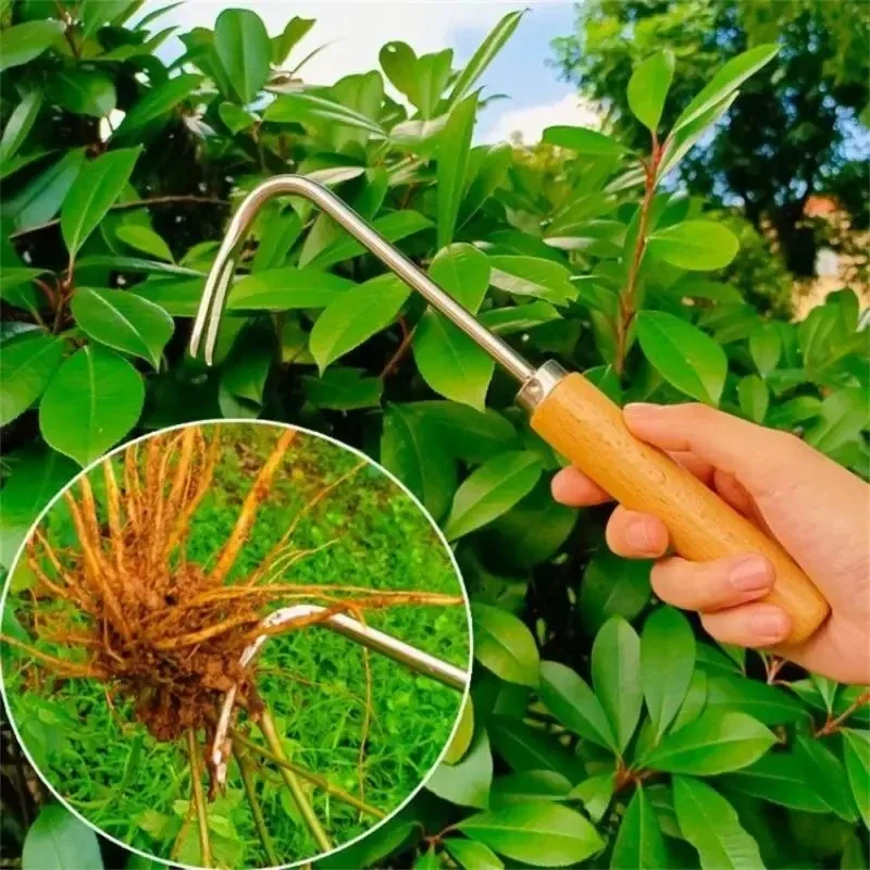 Stainless Steel Gardening Weed - огляд і ціна Weed Puller