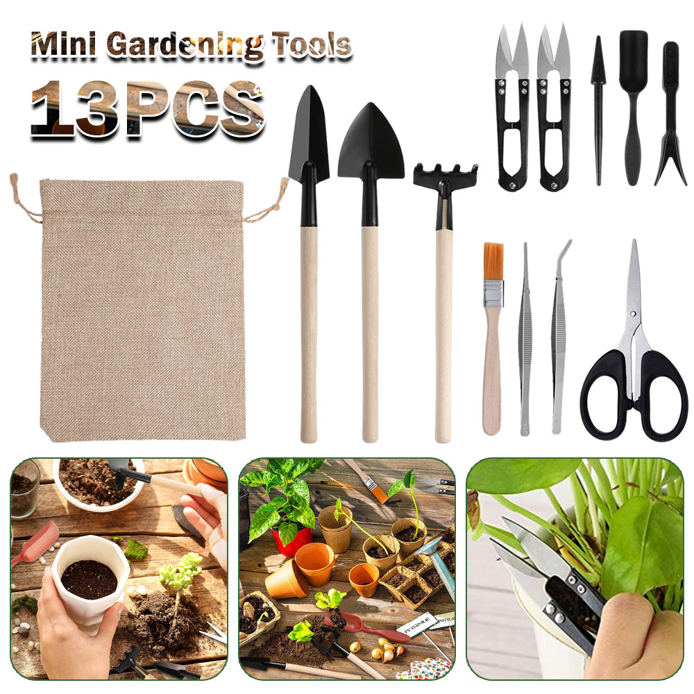 Succulent Plants Tools Mini Ga - огляд і ціна Bonsai Tool Set