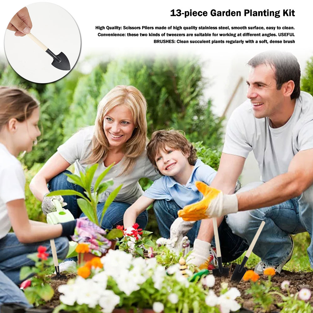 Succulent Plants Tools Mini Ga - огляд і ціна Bonsai Tool Set