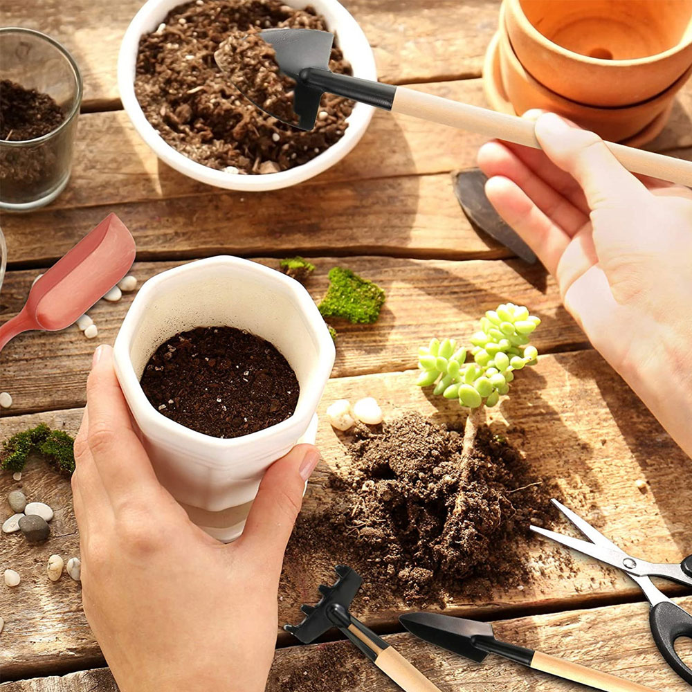 Succulent Plants Tools Mini Ga - огляд і ціна Bonsai Tool Set